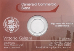 Camera di Commercio. Biglietto da visita elettronico. 2006