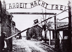 Giornata della Memoria, Nencini  al Parlamento “Necessaria una mappatura della Shoah”