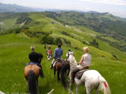 Ippovie toscane, in sella alla scoperta di paesaggi e territori