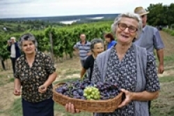 Pensionati senesi chiedono più servizi per evitare abbandono campagne