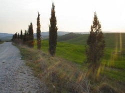 A Buonconvento strade bianche danneggiate da maltempo e frontisti