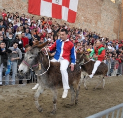 Sul tufo è tempo di Palio dei Somari. Otto contrade si sfidano a Torrita di Siena