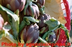 Sapori delle Crete, ad aprile un weekend al sapor di carciofo a Chiusure