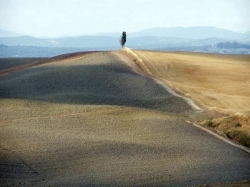 Crete_senesi1.jpg