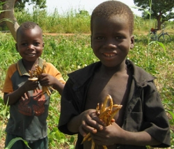 “Fagiolini del Burkina”, piace a 8 Paesi africani il progetto toscano