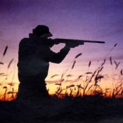 Riforma della caccia, una fucilata contro ambiente e territorio