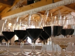 La Cia Toscana difende la qualità dei vini locali e critica il ministro Zaia