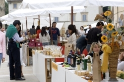 A Carrara un Osservatorio e un Centro per la tutela dei cittadini