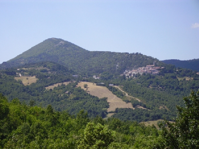 Patrimonio forestale toscano, la Regione investe 2,6 milioni di euro per la tutela