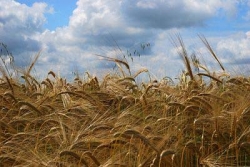 In Toscana centinaia di posti di lavoro a rischio senza proroga oneri sociali