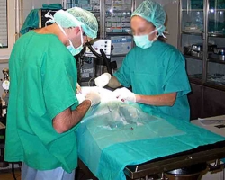 Donazione di organi, i toscani i più generosi