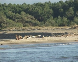 Toscana, 500 mila euro per ripulire le spiagge dal lavarone