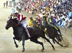Palio di Siena, Rai Storia dedica tre documentari con filmati restaurati per l’occasione