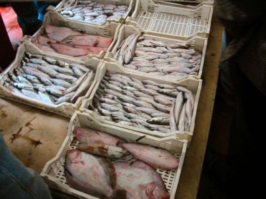 Dalla Cina in Toscana per apprendere le buone pratiche di sicurezza alimentare