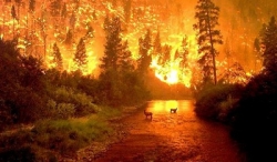 Incendi, il 75 per cento concentrato in 26 province. Cosenza maglia nera