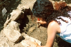 Notti dell’archeologia in Val d’Elsa, offerta gratuita tra arte e natura