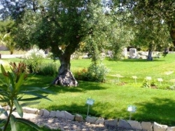 Biodiversamente, le iniziative toscane del festival dell’ecoscienza