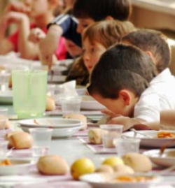 Dalla Regione 76 progetti per i cibi biologici nelle scuole