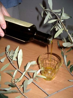 Il Giubileo, la Francigena e le bandiere del Barbarossa per salutare la Festa dell’olio 2015