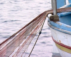 Senza indennizzi e Cig, i pescatori di Viareggio pronti a violare il fermo biologico