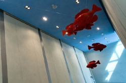 “Un pesce per il Burkina”, da Pisa un pozzo contro la siccità africana