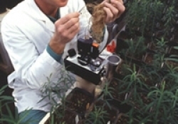 Agronomi e Università di Ancona, siglata convenzione per formazione e crescita professionale
