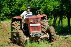 I pensionati della Toscana e il loro futuro. Ne parlano a Firenze martedì 18 gennaio