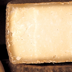 “Il Ministero penalizza il pecorino toscano Dop”. L’accusa dell’assessore regionale Salvadori