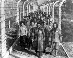 Giorno della Memoria, nelle scuole il documentario “1944, Asciano- Auschwitz solo andata”
