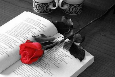 Passioni letterarie: Elena, Armida, Anna e le altre