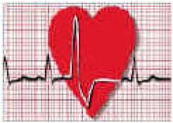 Cardiologie aperte, domenica consiglie  informazioni sul cuore al Policlinico di Siena