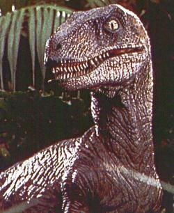 Dinosauri in arrivo ad Arezzo, una mostra interattiva con ricostruzioni in 3D