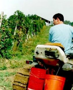 In Toscana il progetto Banca della Terra per favorire il ricambio generazionale