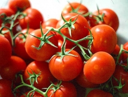 Pomodoro toscano, subito un accordo dignitoso per i produttori