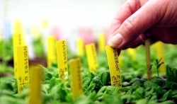 Agrofarmaci, il Conaf alla Camera illustra la proposta “agrofarmacie”