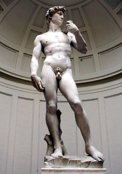 Pericolo per il David di Michelangelo in caso di eventi sismici