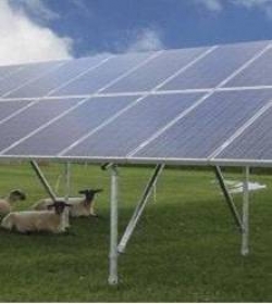 Le aziende toscane del gas sono il motore della green economy
