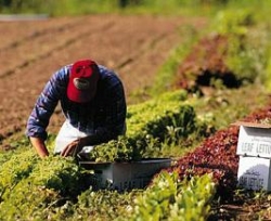 Con i giovani l’agricoltura senese è più moderna e competitiva. Convegno lunedì 14 dicembre