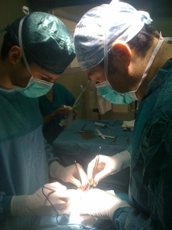 Nasce in Toscana il primo ospedale verde d’Italia