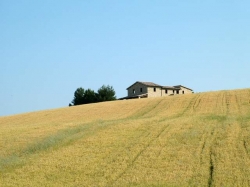 Accordo Fidi Toscana – Cia, accesso al credito più facile per le aziende