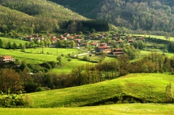 Distretto Forestale Rurale della montagna pistoiese, avviato l’iter per il riconoscimento