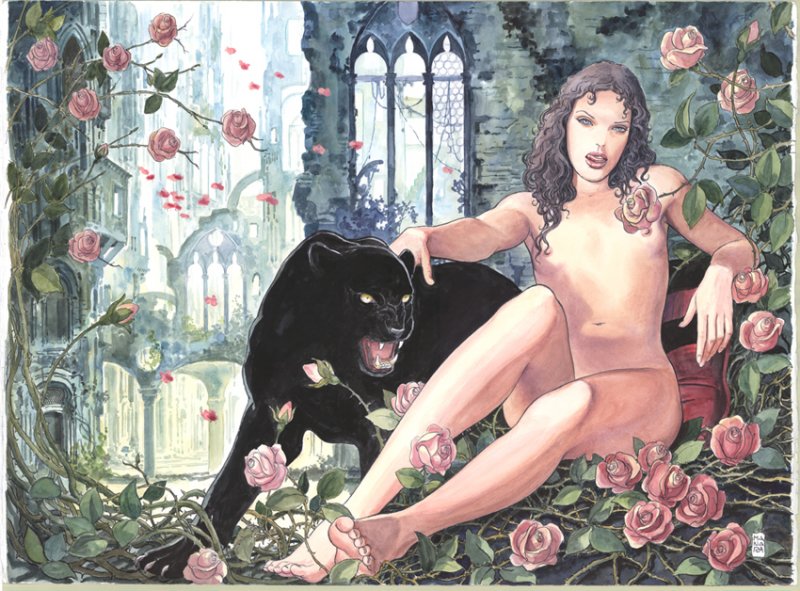 Manara, maestro di eros a Siena