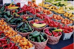 Le eccellenze toscane a Expo Rurale dal 15 al 18 settembre a Firenze