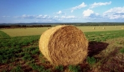 Programma di sviluppo rurale, incontri itineranti in provincia di Siena tra esperti e agricoltori