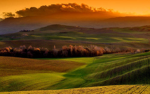 La Toscana verso Expo 2015