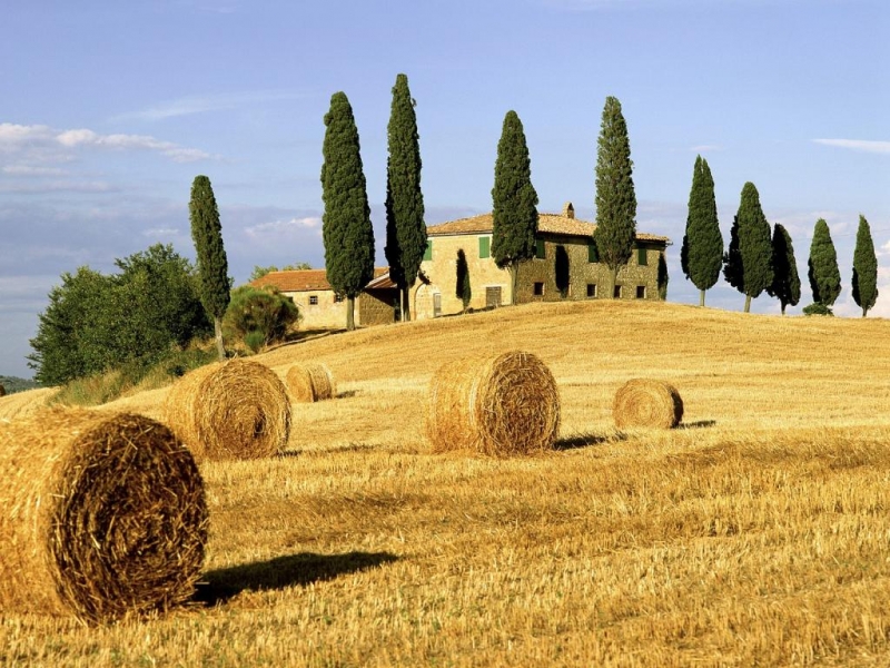 La Toscana reclama il dicastero dell’agricoltura. Scaramuzzi: «Tentativo in atto di cancellare il Ministero»