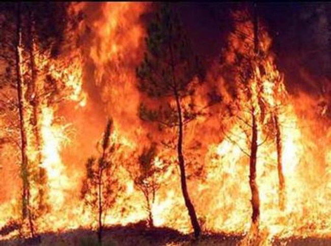 Il termometro non scende e gli incendi aumentano