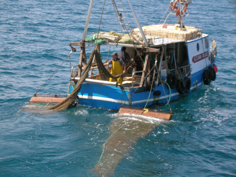 Arcipelago Pulito. Da pescatori a spazzini, in porto le plastiche trovate in mare