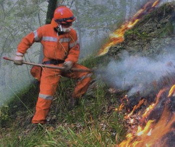 Il fuoco spegne la Toscana. A marzo già bruciati 122 ettari di verde
