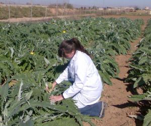 Come diventare dottore agronomo e forestale: le sedi e le date degli esami di stato 2012
